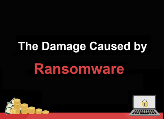 The Damage Caused by Ransomware