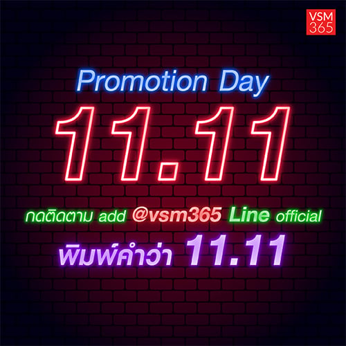 EDM_promotion_day_11_11_500x500_1_0.jpg